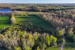 17463 15 Mile Rd, Leroy, MI 49655 - Photo 35