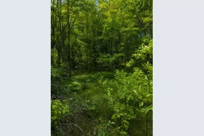 S Mill Iron Road, Muskegon, MI 49442 - Photo 3