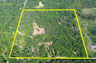 10013 E Beal City Rd, Mount Pleasant, MI 48858 - Photo 55