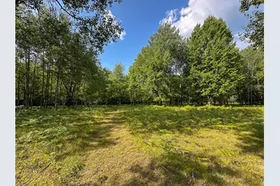 10013 E Beal City Road, Mount Pleasant, MI 48858 - Photo 43