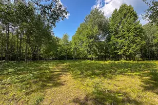 10013 E Beal City Rd, Mount Pleasant, MI 48858 - Photo 43