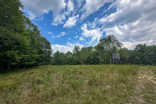 10013 E Beal City Rd, Mount Pleasant, MI 48858 - Photo 5