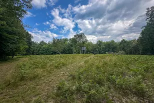10013 E Beal City Rd, Mount Pleasant, MI 48858 - Photo 37