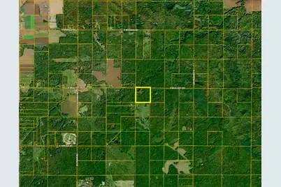 10013 E Beal City Road, Mount Pleasant, MI 48858 - Photo 59