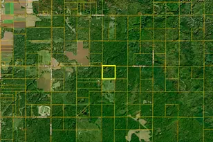 10013 E Beal City Rd, Mount Pleasant, MI 48858 - Photo 59