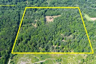 10013 E Beal City Rd, Mount Pleasant, MI 48858 - Photo 57