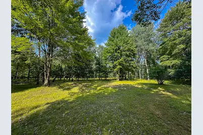 10013 E Beal City Road, Mount Pleasant, MI 48858 - Photo 5