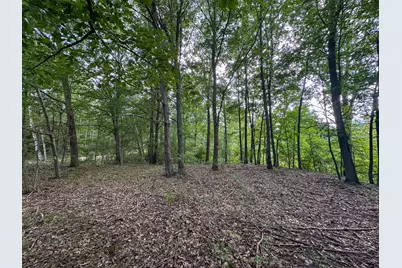 10013 E Beal City Road, Mount Pleasant, MI 48858 - Photo 49