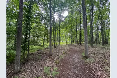 10013 E Beal City Road, Mount Pleasant, MI 48858 - Photo 47