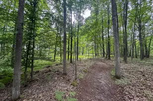 10013 E Beal City Rd, Mount Pleasant, MI 48858 - Photo 47