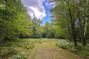 10013 E Beal City Rd, Mount Pleasant, MI 48858 - Photo 7
