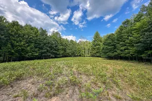 10013 E Beal City Rd, Mount Pleasant, MI 48858 - Photo 47