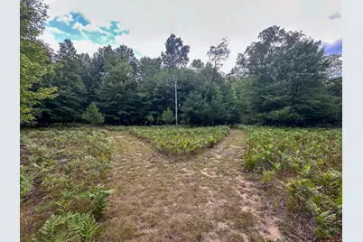 10013 E Beal City Road, Mount Pleasant, MI 48858 - Photo 41