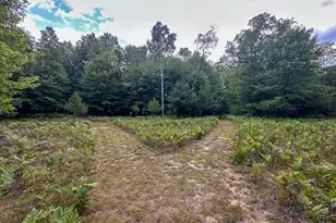 10013 E Beal City Rd, Mount Pleasant, MI 48858 - Photo 41