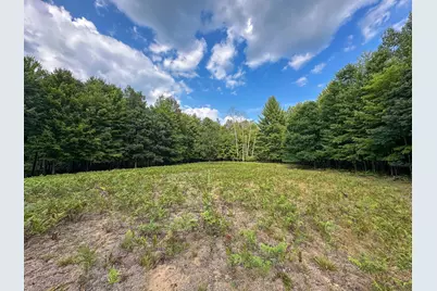 10013 E Beal City Road, Mount Pleasant, MI 48858 - Photo 39