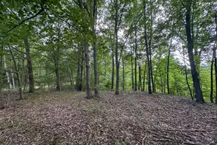 10013 E Beal City Rd, Mount Pleasant, MI 48858 - Photo 59