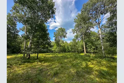 10013 E Beal City Road, Mount Pleasant, MI 48858 - Photo 45