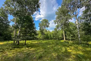 10013 E Beal City Rd, Mount Pleasant, MI 48858 - Photo 45