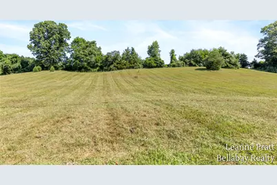 875 E Sager Road, Hastings, MI 49058 - Photo 11
