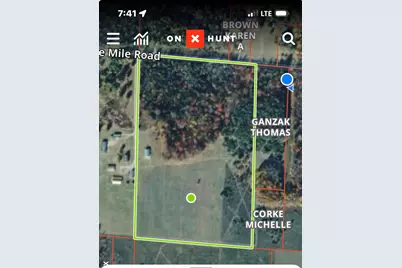 9 Mile Road, Kaleva, MI 49645 - Photo 3