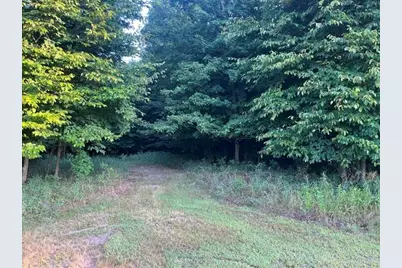 9 Mile Road, Kaleva, MI 49645 - Photo 5
