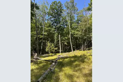 11992 Cheyenne Wells Trail, Canadian Lakes, MI 49346 - Photo 3