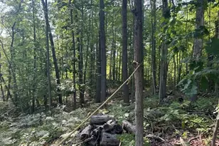 9841 River Rd, Mecosta, MI 49332 - Photo 25