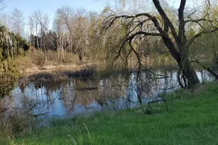4500 W Howard City-Edmore, Six Lakes, MI 48886 - Photo 15