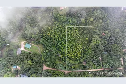 Spruce Hollow Drive #Parcel A, Middleville, MI 49333 - Photo 5