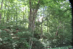 Red Bud Trail N, Buchanan, MI 49107 - Photo 1