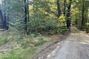 10445 W Woodrow Rd, Shelby, MI 49455 - Photo 1