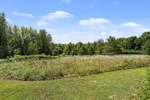 10064 Love Rd, Bellevue, MI 49021 - Photo 37