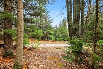00000 E 48 1/2 Road, Cadillac, MI 49601 - Photo 7
