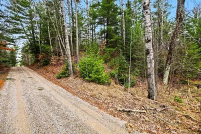 00000 E 48 1/2 Road, Cadillac, MI 49601 - Photo 11