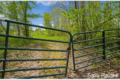 V/L 9 Mile Rd Road, Reed City, MI 49677 - Photo 31