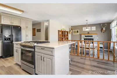 12088 N Lake Street, Bitely, MI 49309 - Photo 9