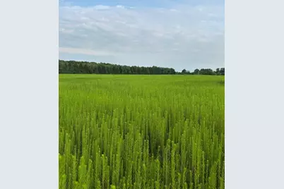 V/L W Y Avenue, Schoolcraft, MI 49087 - Photo 5