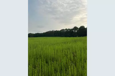 V/L W Y Avenue, Schoolcraft, MI 49087 - Photo 3