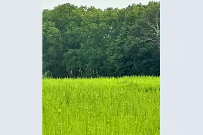 V/L W Y Avenue, Schoolcraft, MI 49087 - Photo 7