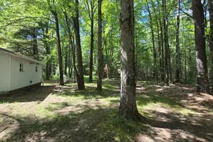 14690 W Pine Lake Rd, Wellston, MI 49689 - Photo 17