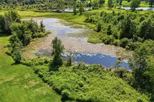 1306 122nd Ave, Hopkins, MI 49328 - Photo 23