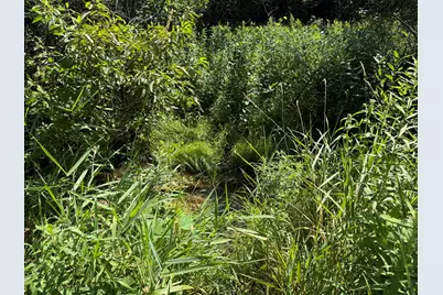 1306 122nd Avenue, Hopkins, MI 49328 - Photo 33