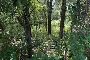 1306 122nd Ave, Hopkins, MI 49328 - Photo 31