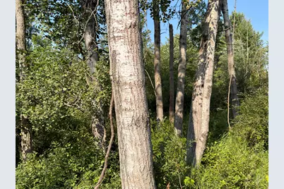 Us-31, Manistee, MI 49660 - Photo 3