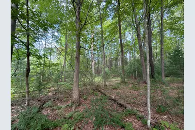 Us-31, Manistee, MI 49660 - Photo 11