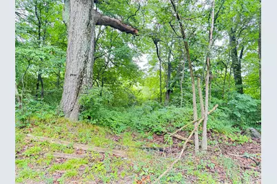 1246 S Locust Avenue, White Cloud, MI 49349 - Photo 3