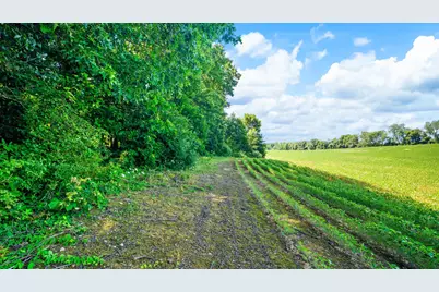 12753 Bliss Road, Marcellus, MI 49067 - Photo 31