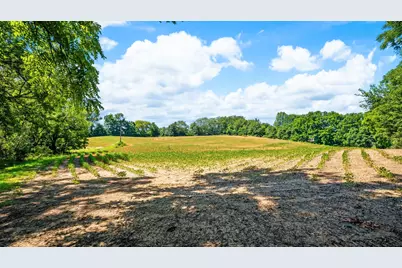12753 Bliss Road, Marcellus, MI 49067 - Photo 29