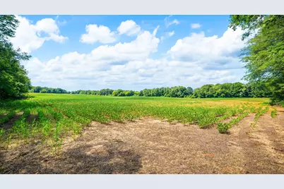 12753 Bliss Road, Marcellus, MI 49067 - Photo 27