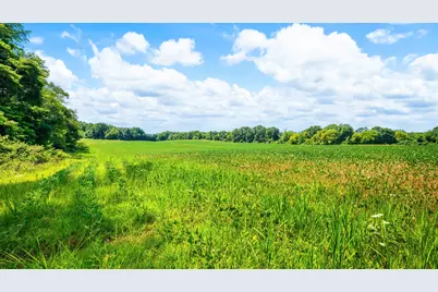 12753 Bliss Road, Marcellus, MI 49067 - Photo 35